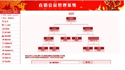 直销系统双轨互助软件网站图片_高清图_细节图